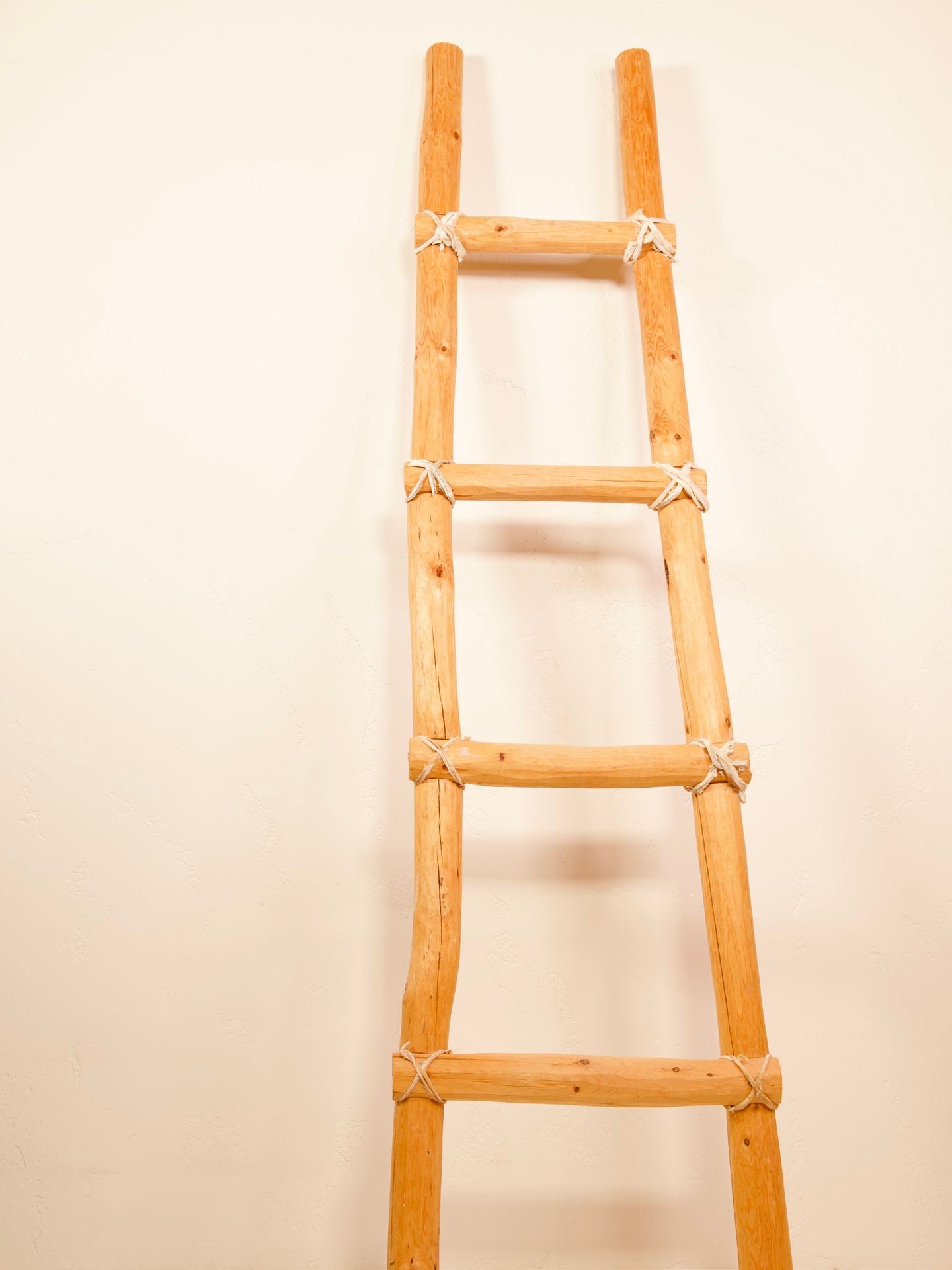 Ladder