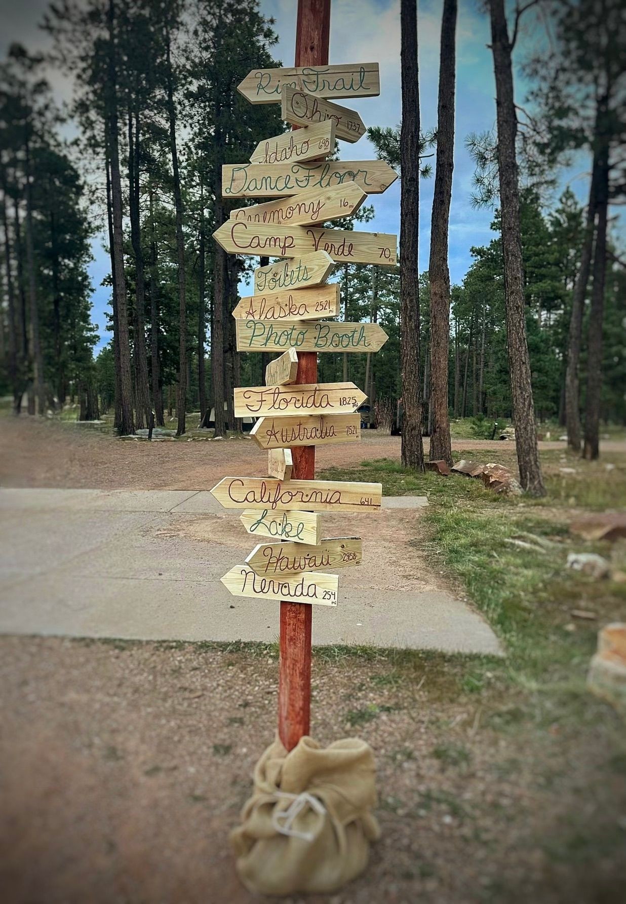 Wooden directional signpost in a forest with multiple signs pointing to various locations and activities.